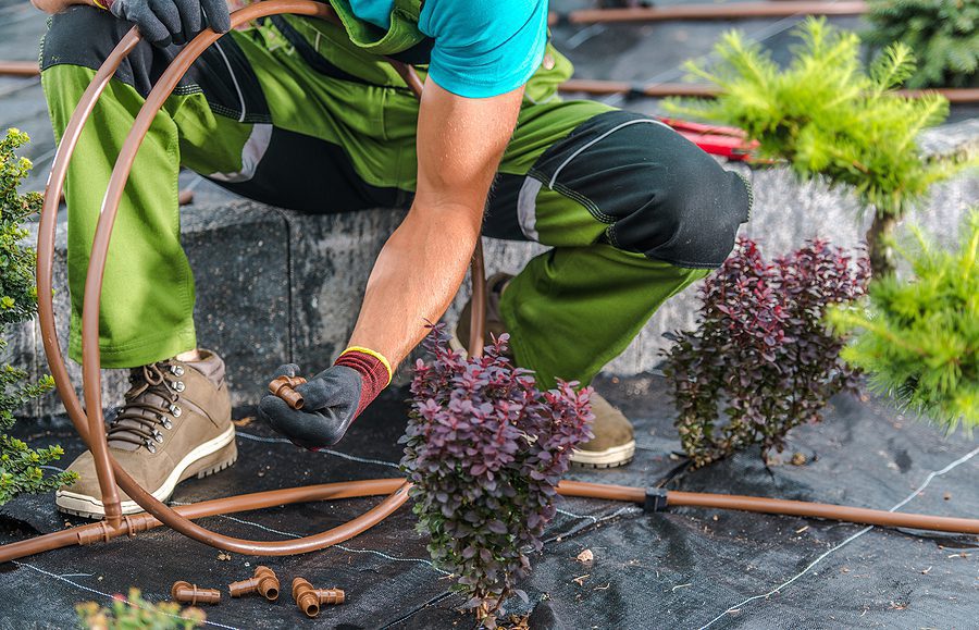 What are the Advantages of a Drip Irrigation System?