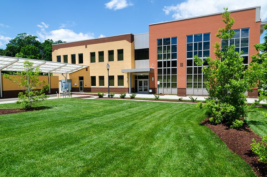 What Are the Most Common Commercial Landscape Maintenance Mistakes to Avoid?