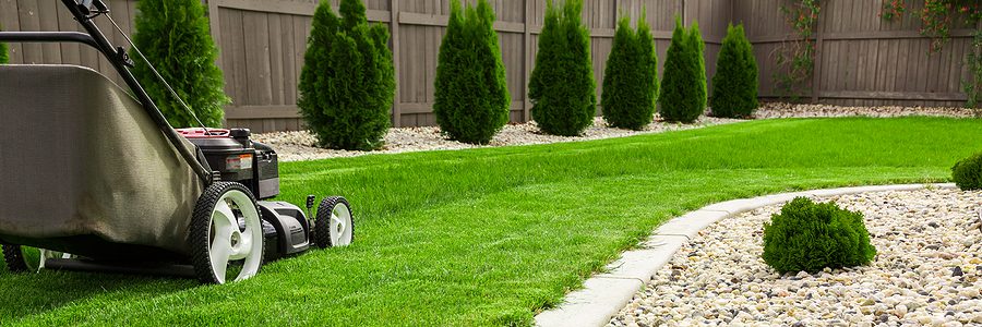What Tools Do I Need for Basic Landscape Maintenance at Home