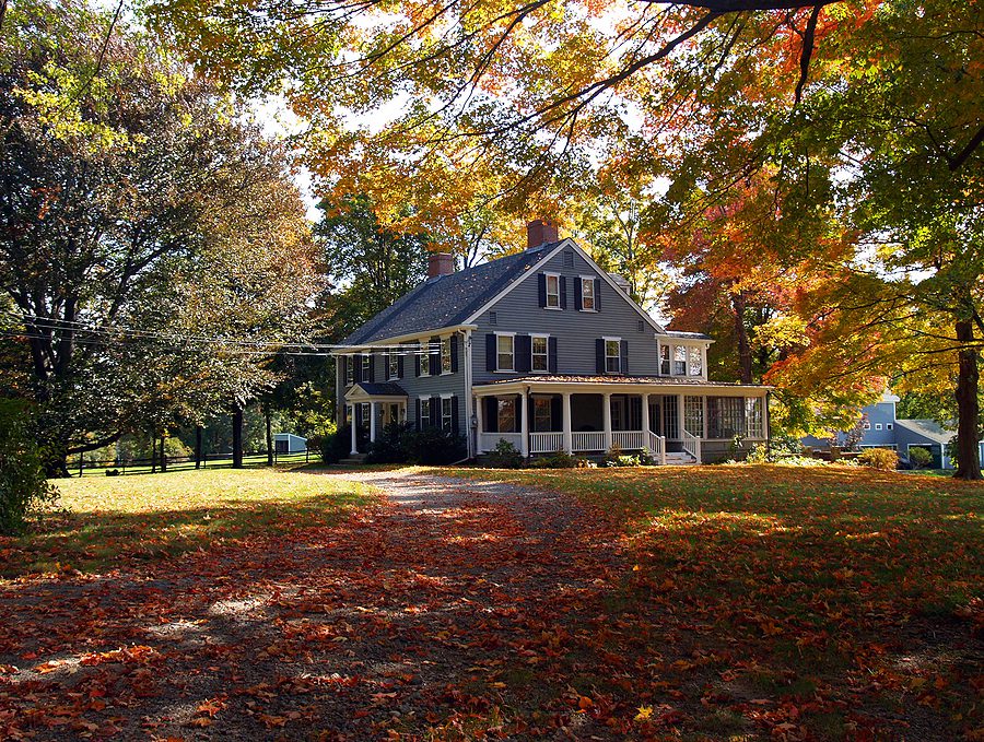 What’s the Best Way to Adjust Lawn Care from Fall and Winter
