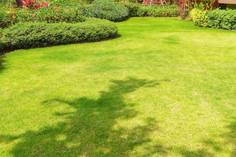What’s the Difference between Lawn Care and Landscape Maintenance