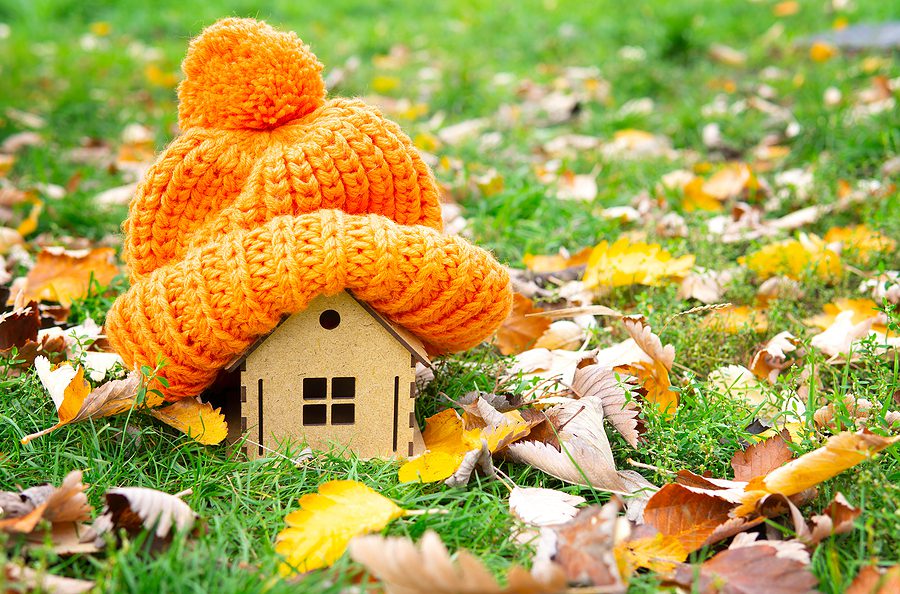 How Do I Winterize My Albuquerque Lawn