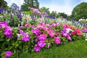 Does Late Fall Perennial Planting Work?