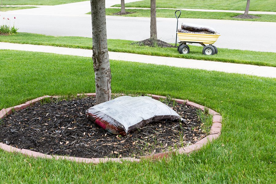 What’s the Best Way to Mulch Commercial Landscaping?