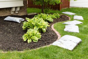 How Do I Get My Garden Soil Ready for this Spring?