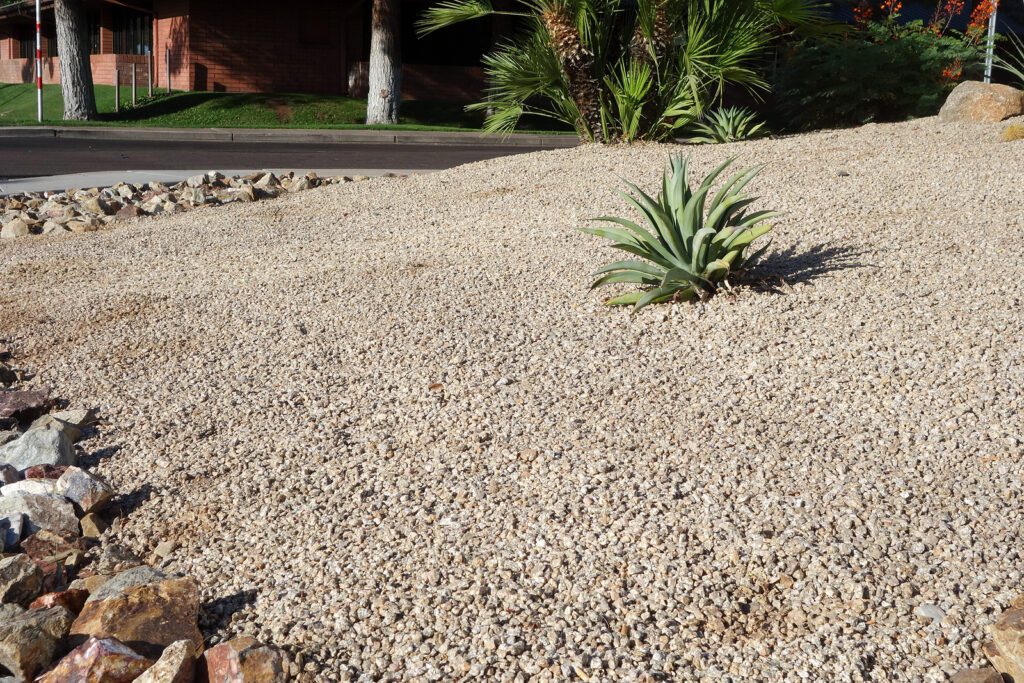 What are the Most Common Misunderstandings About Xeriscaping