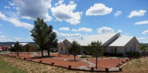 Can Xeriscaping Increase My Home’s Value or Curb Appeal?