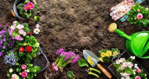 How Do I Prepare Garden Beds for Spring Planting by R & S Landscaping 505-271-8419
