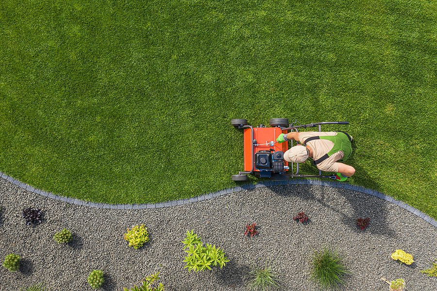 Is Aeration and Overseeding the Secret to a Thicker, Stronger Albuquerque Lawn by R & S Landscaping 505-271-8419