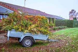 How and When Should You Work On Spring Garden Clean Up the Right Way?