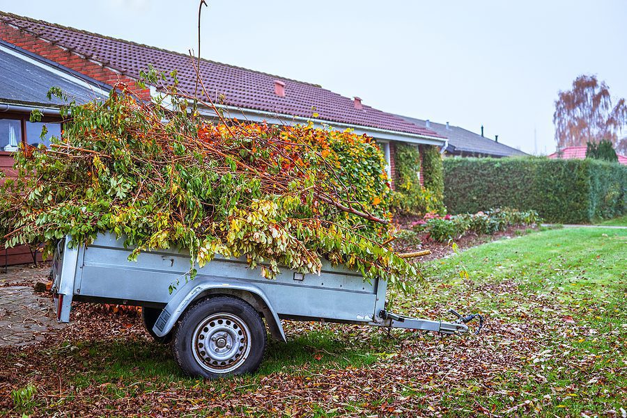How and When Should You Work On Spring Garden Clean Up the Right Way?