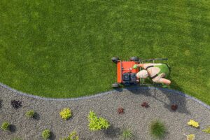 What are the Most Common Lawn Problems Homeowners Face and How Do You Fix Them-by-R-S-Landscaping-505-271-8419