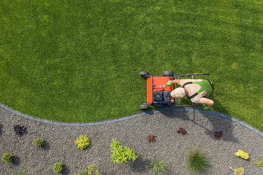 What are the Most Common Lawn Problems Homeowners Face and How Do You Fix Them-by-R-S-Landscaping-505-271-8419
