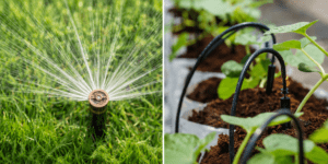 Drip Irrigation vs. Lawn Sprinklers: Which Is Best?