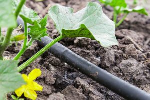 How to Find and Fix Hidden Drip Irrigation Line Leaks