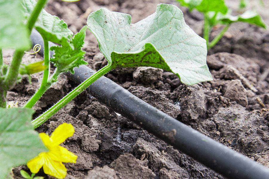 How to Find and Fix Hidden Drip Irrigation Line Leaks