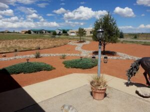 What Should I Look for When Hiring a Landscaping Company in Albuquerque?