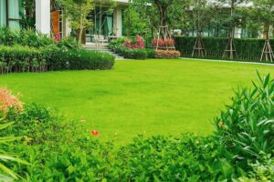 How Much Does Landscape Maintenance Cost in Albuquerque?