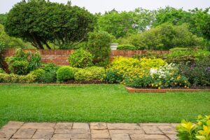 How Often Should Professional Landscape Maintenance Be Done in Albuquerque?