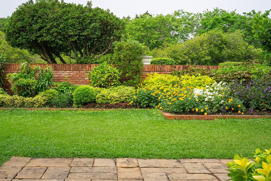 How Often Should Professional Landscape Maintenance Be Done in Albuquerque?